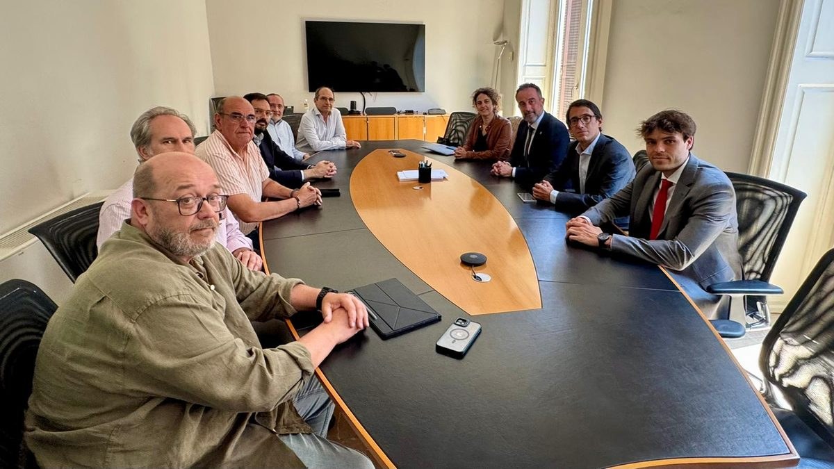 Reunión en el Parlament de les Illes Balears sobre la competitividad del sector del taxi y del VTC en Baleares, con el Govern, los grupos parlamentarios y las patronales